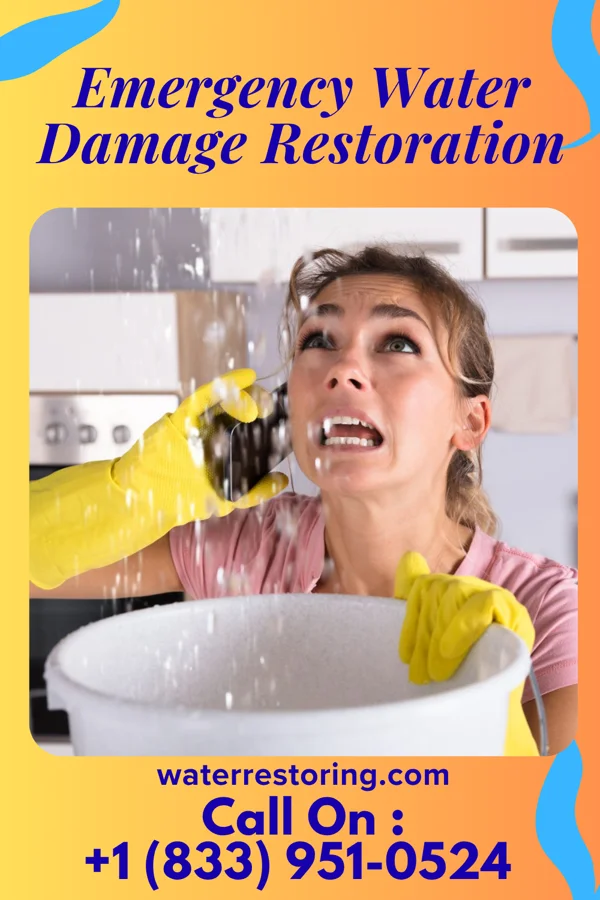 Emergency Water Damage Restoration in Moran, TX