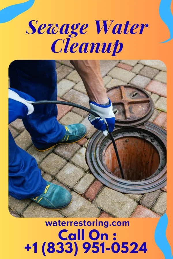 Sewage Water Cleanup in Moran, TX